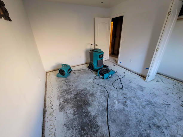 Best Mold removal after water damage  in Henryetta, OK