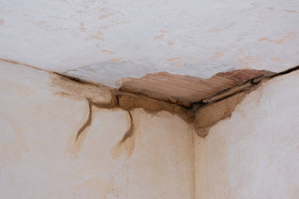 Best Water damage contractors near me  in Henryetta, OK